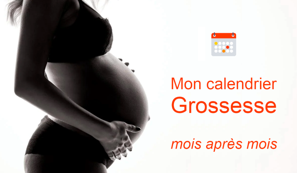 calendrier de grossesse