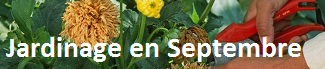 Calendrier Jardinage Septembre
