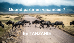vacances en tanzanie